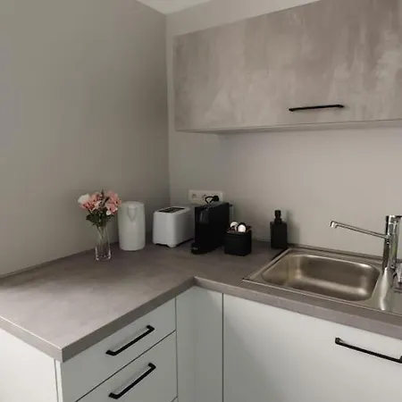 Geraeumige 3-schlafzimmer-wohnung In Nahe Uni Lejlighed Koblenz (Rhineland-Palatinate)