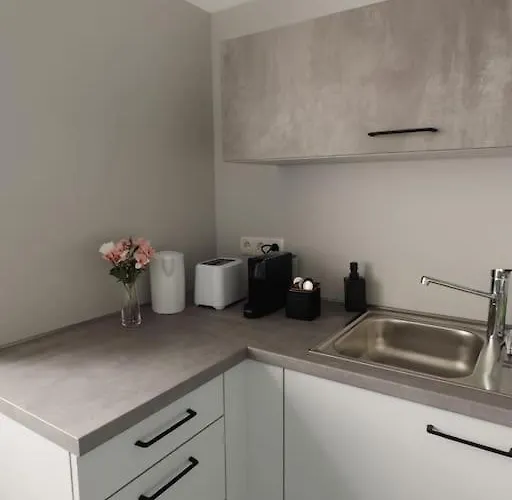 Geraeumige 3-schlafzimmer-wohnung In Nahe Uni Apartamento Coblença